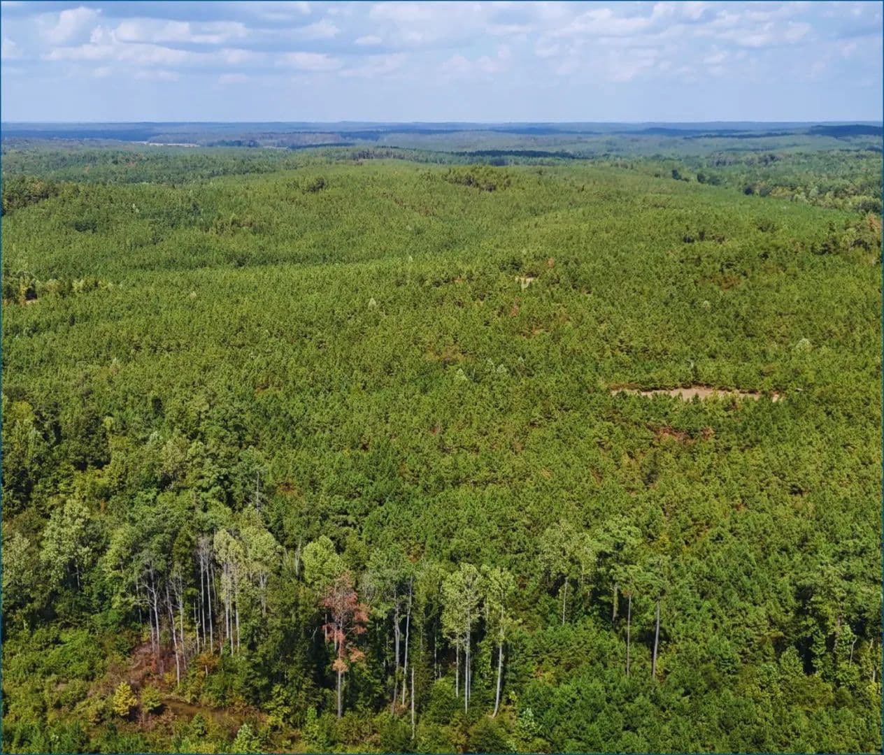 640 Acres in Montgomery County in Duck Hill, MS - Duck Hill, Mississippi, 38925
