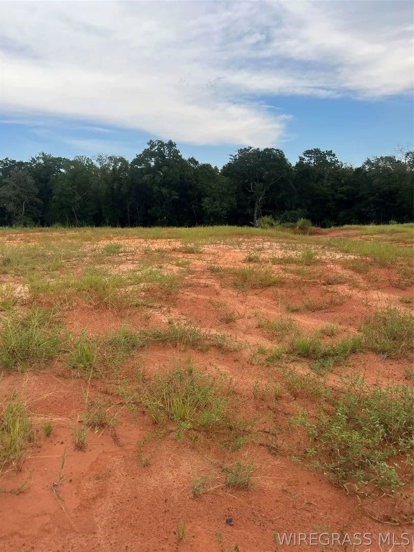 Vacant Land in Enterprise - Enterprise, Alabama, 36330