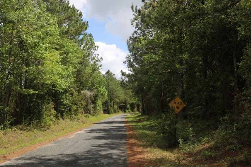 Barrow Forest Tract 4