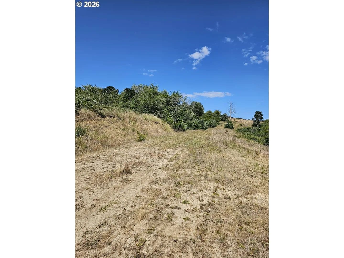 Lots & Land-Other in Gaston - Gaston, Oregon, 97119