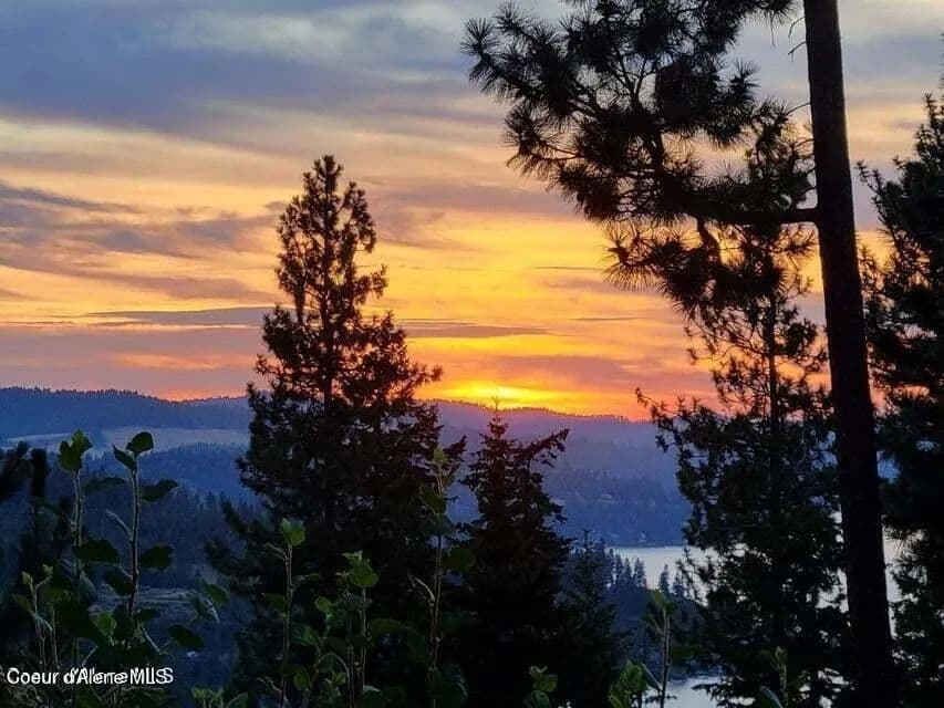 Vacant Land in Harrison - Harrison, Idaho, 83833