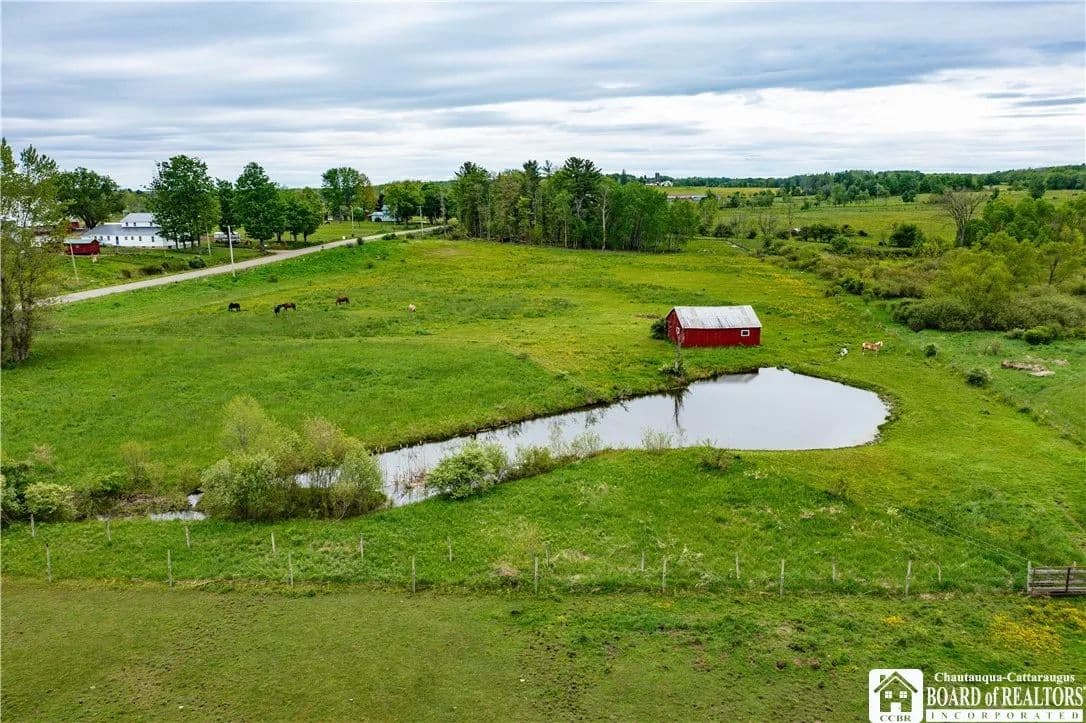 25.7 Acres of Land for Sale in Ashville, NY - Ashville, New York, 14710