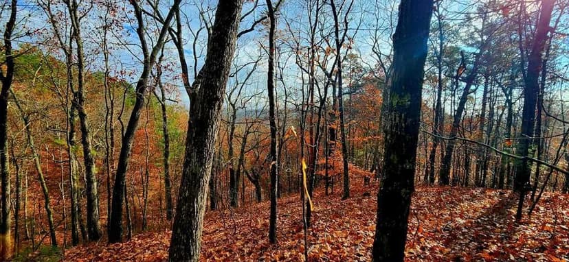 Property from 561 No Address #561 - KW