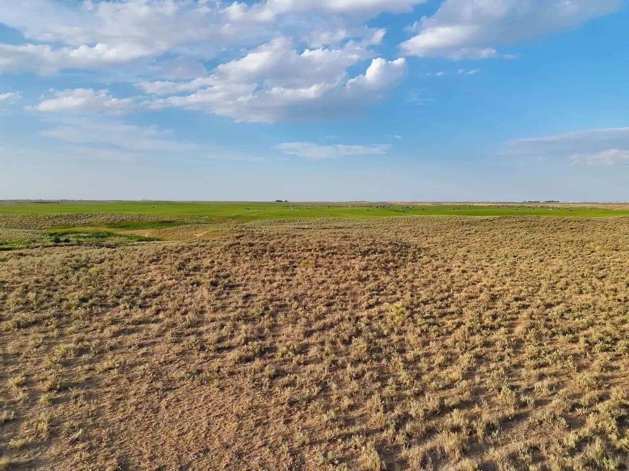 Stevens County Pasture with Income Producing Mineral Rights - land for sale