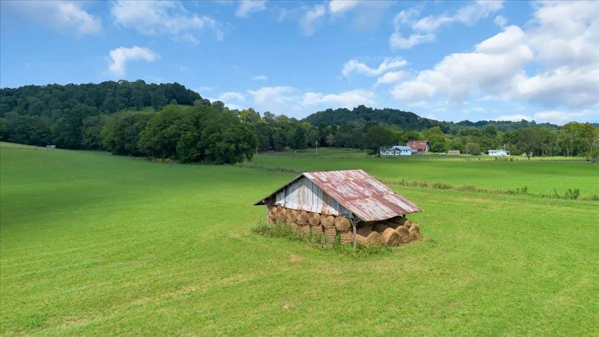 Vacant Land (10+ Acres) in Wartrace - Wartrace, Tennessee, 37183