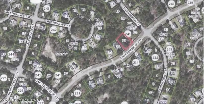 Vacant Land in Homosassa - Homosassa, Florida, 34446