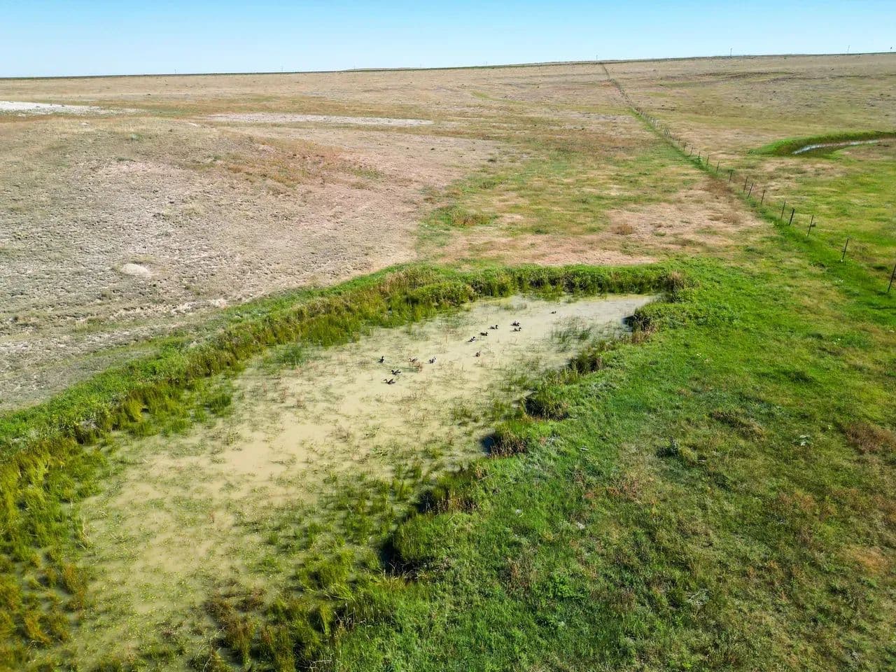 106± Acres with Mineral Rights on Highway 71 | Weld County, CO - Stoneham, Colorado, 80754