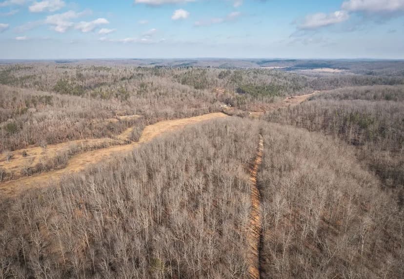 Crosshair Hollow Tract 2