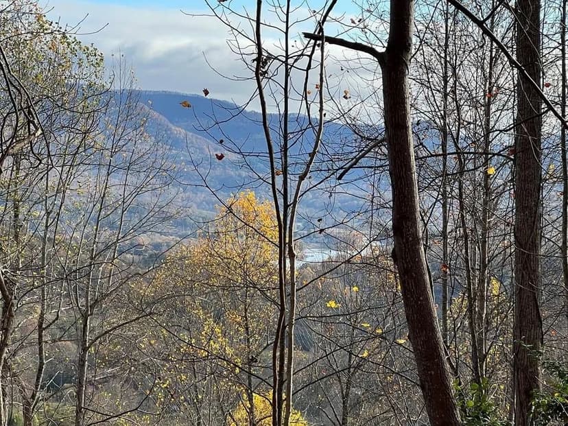 Lots & Land-Other in Hiawassee