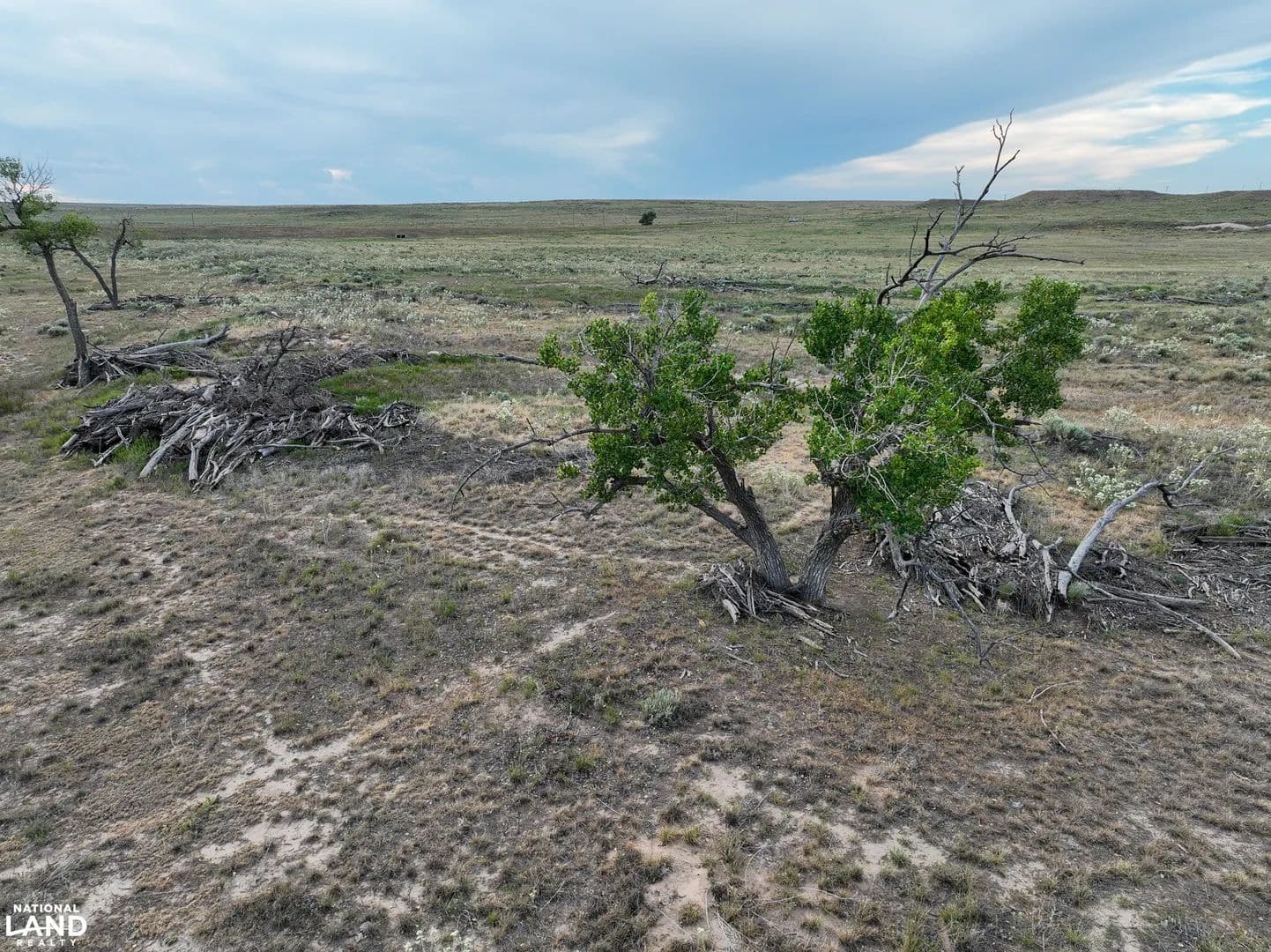 Beaver River Grassland - Texhoma, Oklahoma, 73949