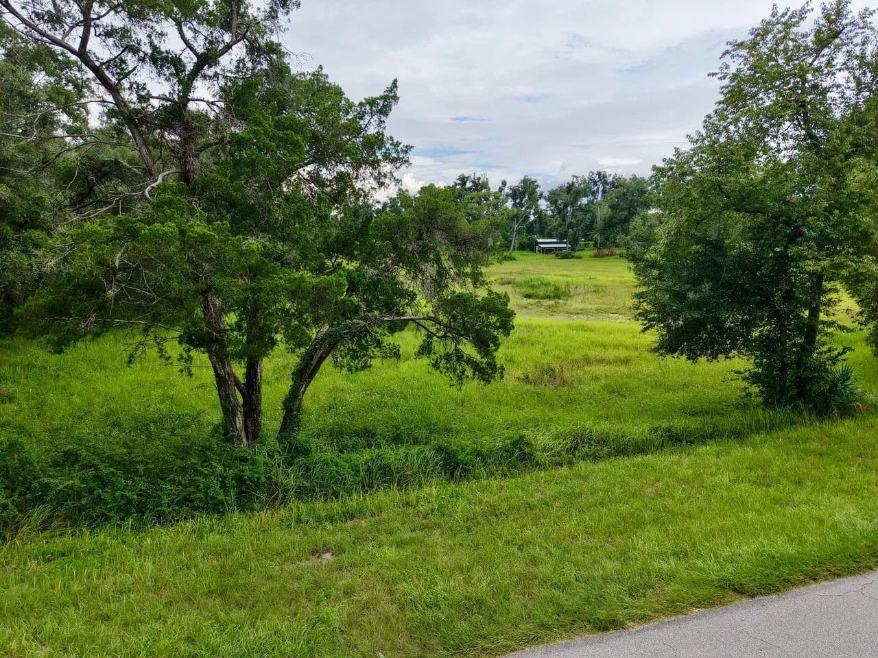 5.8 Acres Near Mayo with Well, Shed & RV Pole Barn - Mayo, Florida, 32066
