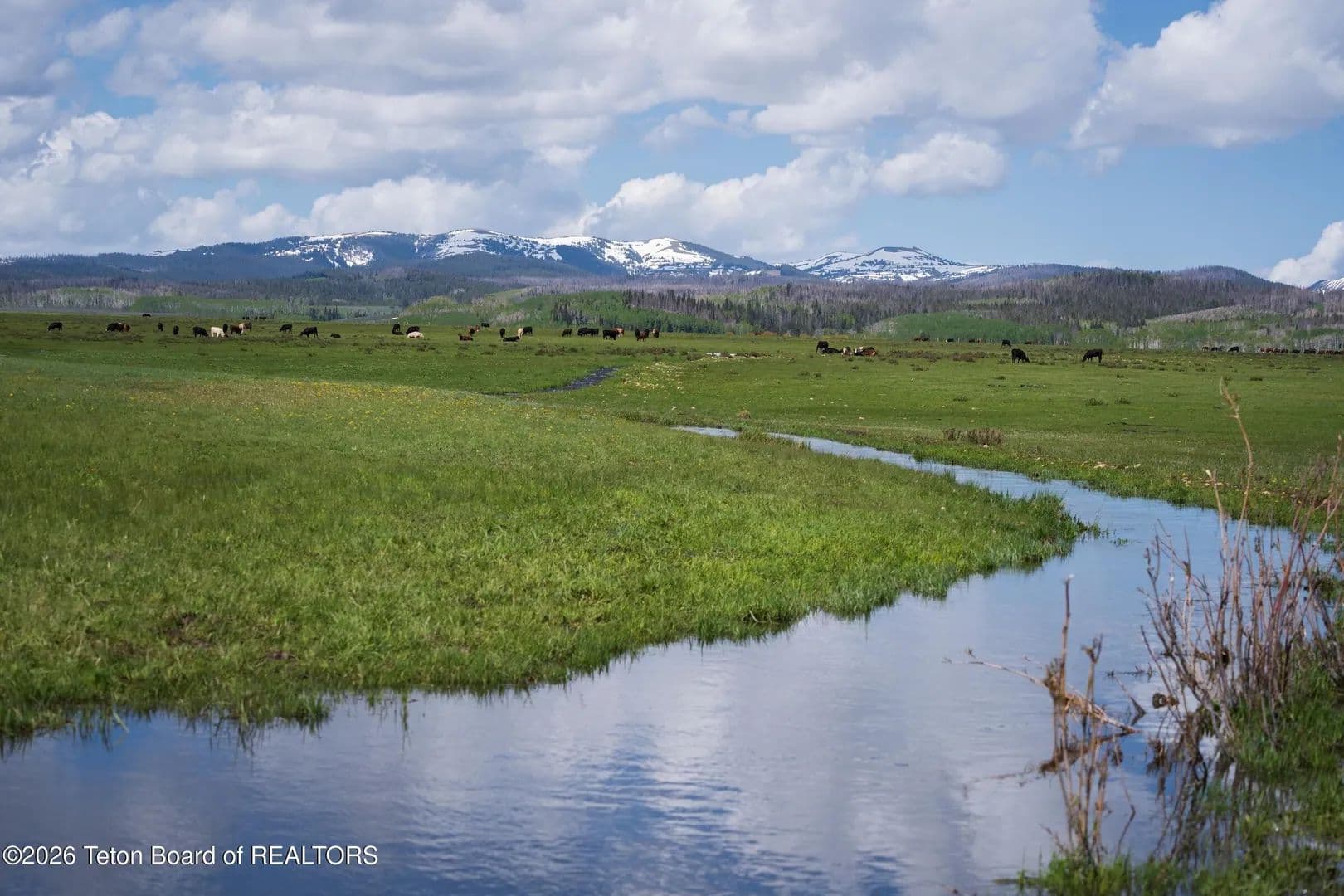 980 Acres of Land for Sale in Daniel, WY - Daniel, Wyoming, 83115