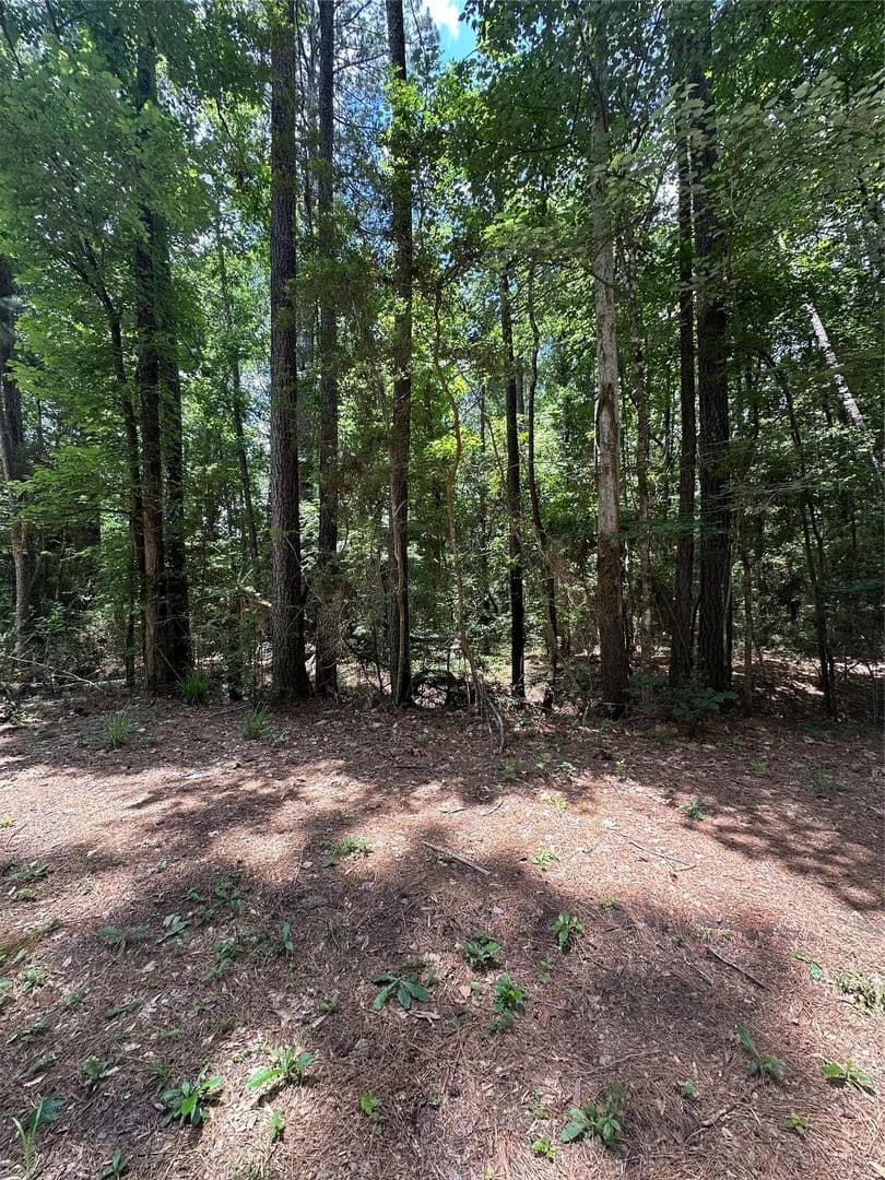 Vacant Land in Conroe - Conroe, Texas, 77303