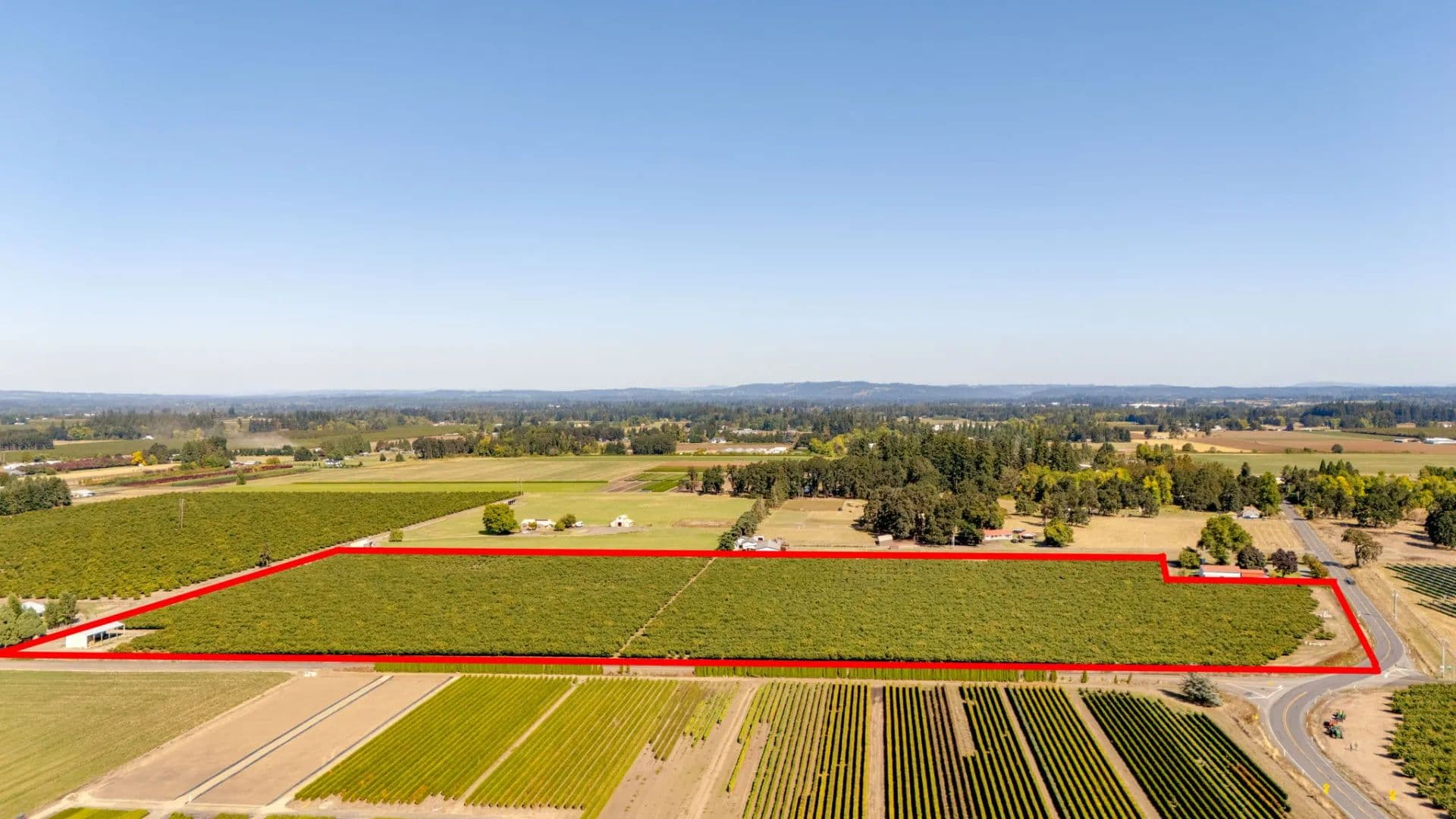 Established Hazelnut Orchard - Canby Oregon - Canby, Oregon, 97013