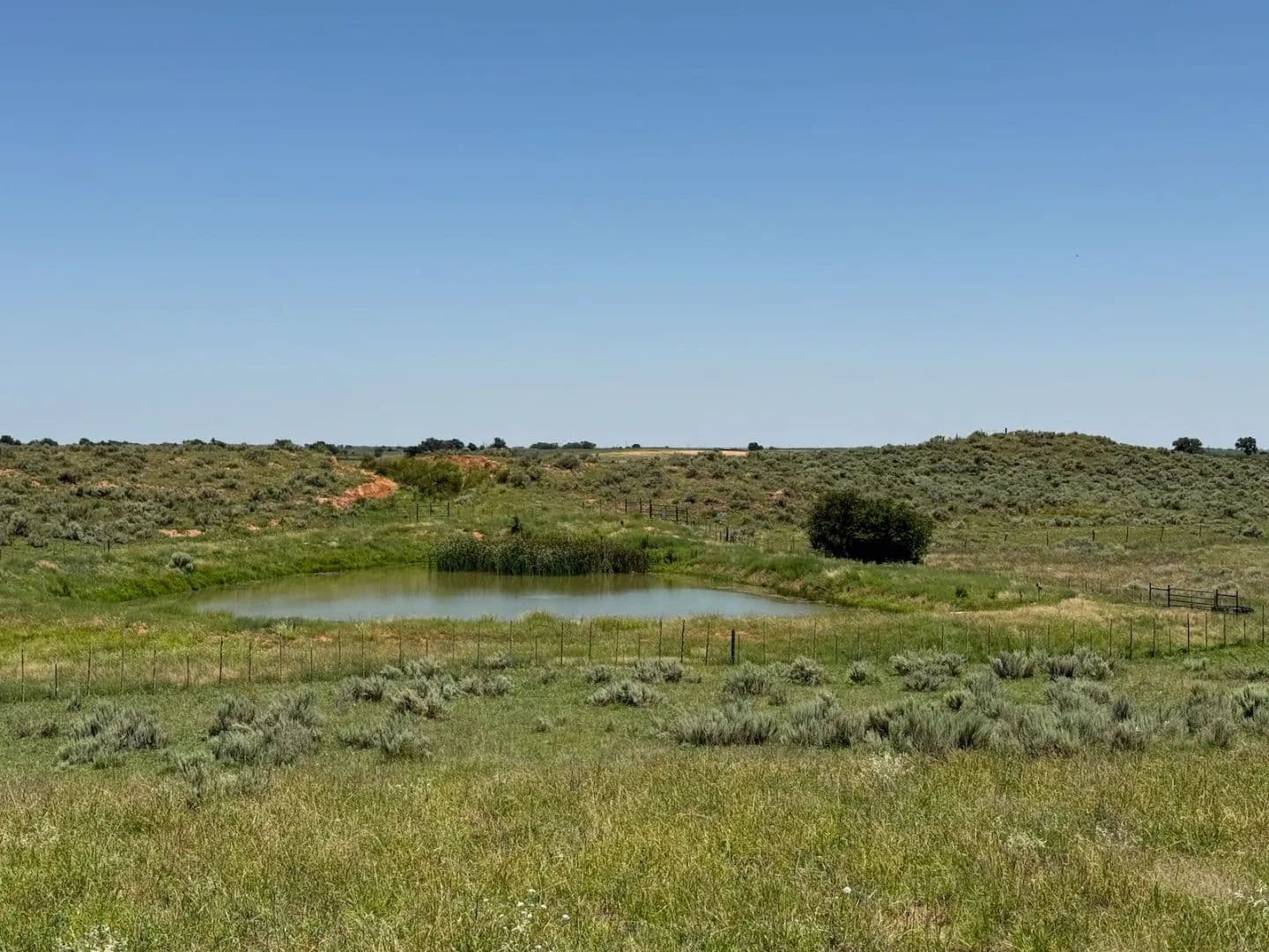 ASK Farm - Quail, Texas, 79251