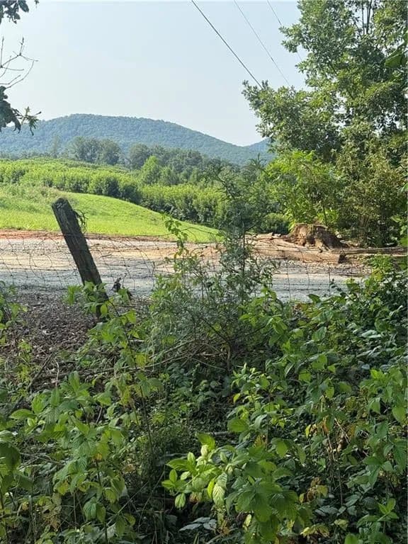 Land -Single Family Acreage in Ellijay - Ellijay, Georgia, 30536