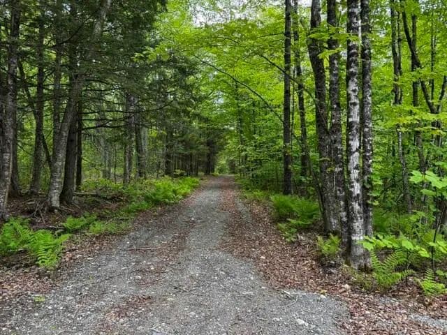 5 Acres of Land for Sale in Madison, Maine - land for sale