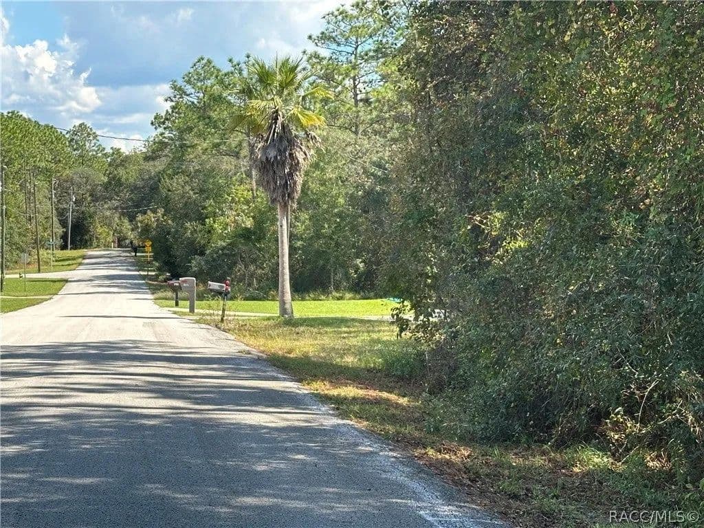 Lots & Land-Other in Hernando - Hernando, Florida, 34442