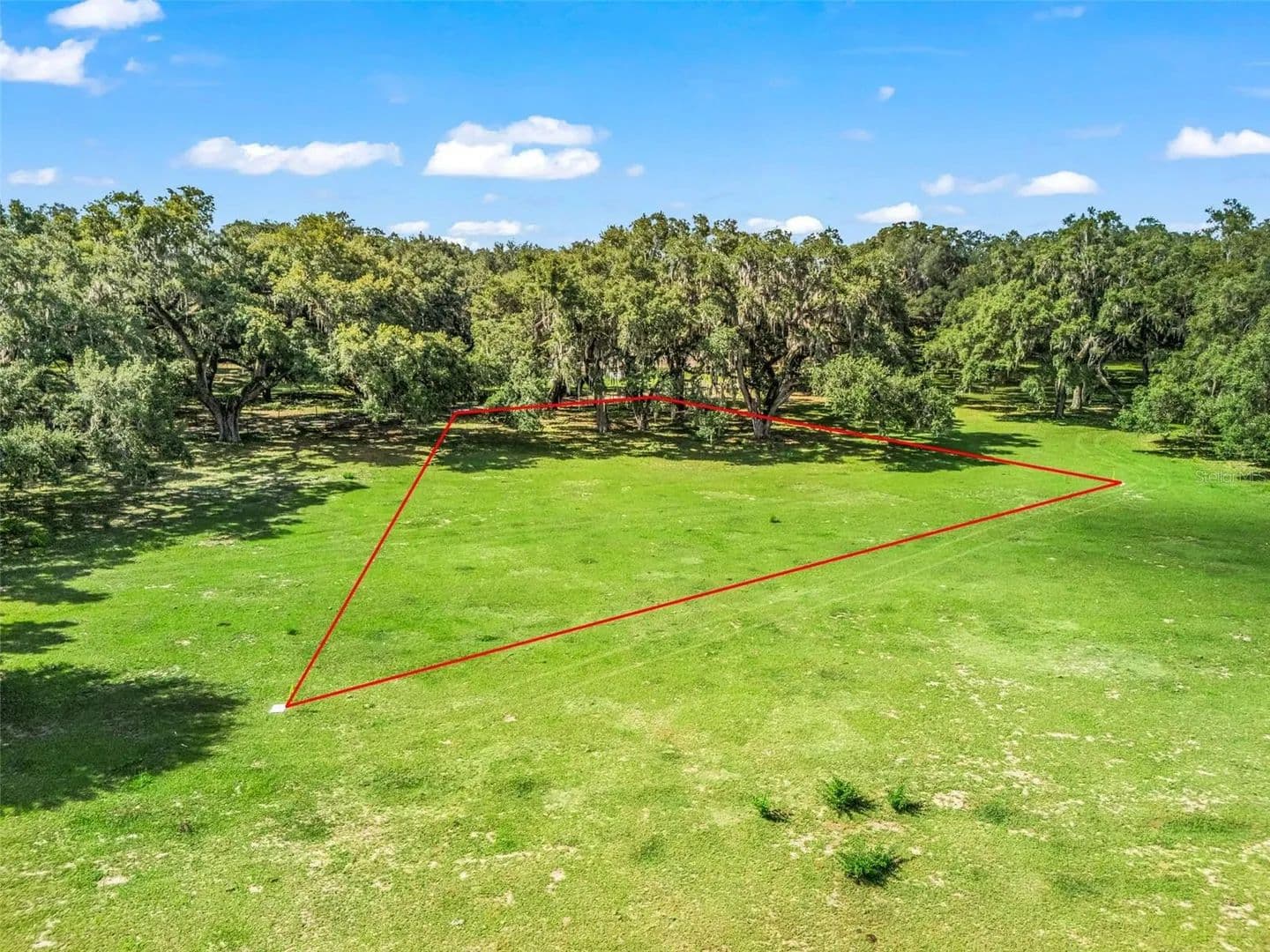 0.65 Acres of Land for Sale in BUSHNELL, FL - Bushnell, Florida, 33513