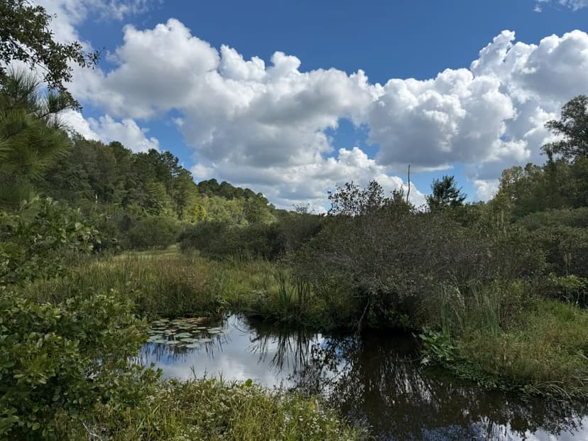 LA - Jackson 60 acres +/-