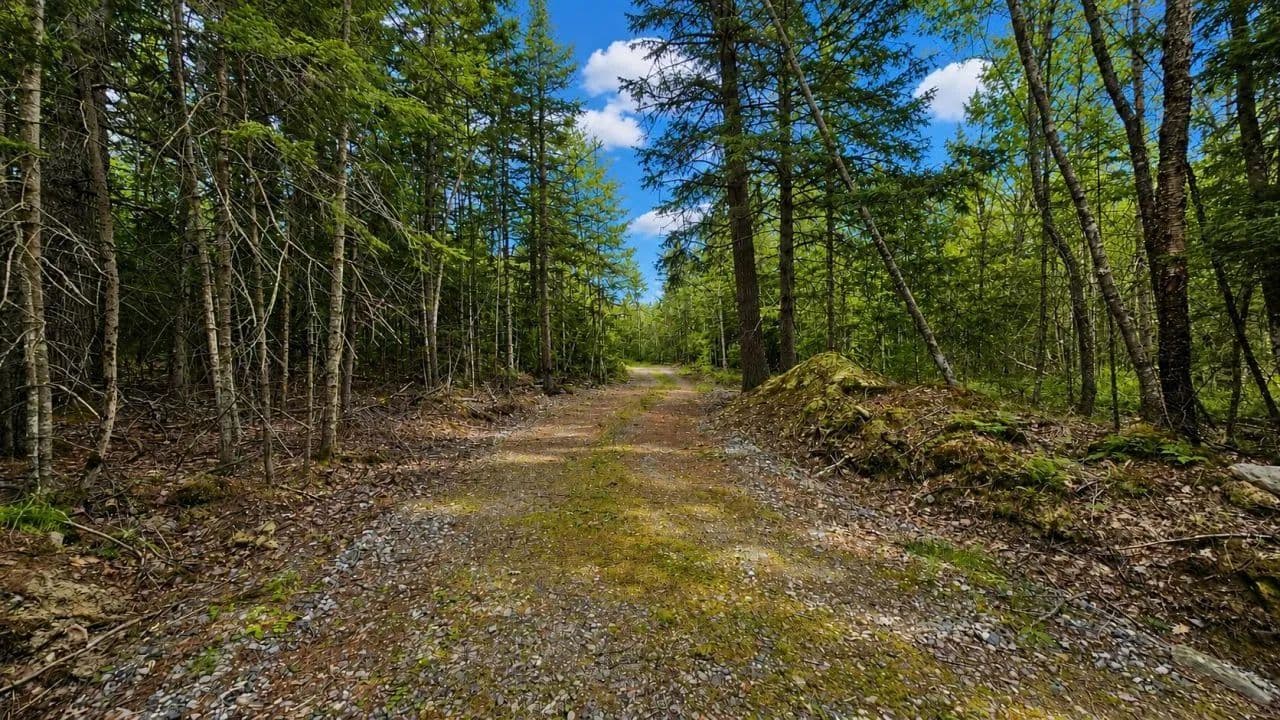 Land -Single Family Acreage in Westport Island - Maine, 04578