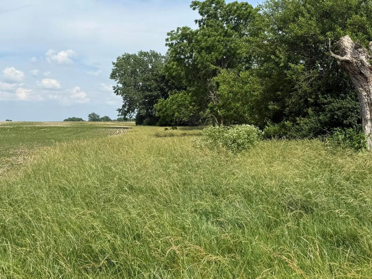Vacant Land in Clarksburg - Clarksburg, Ohio, 43115