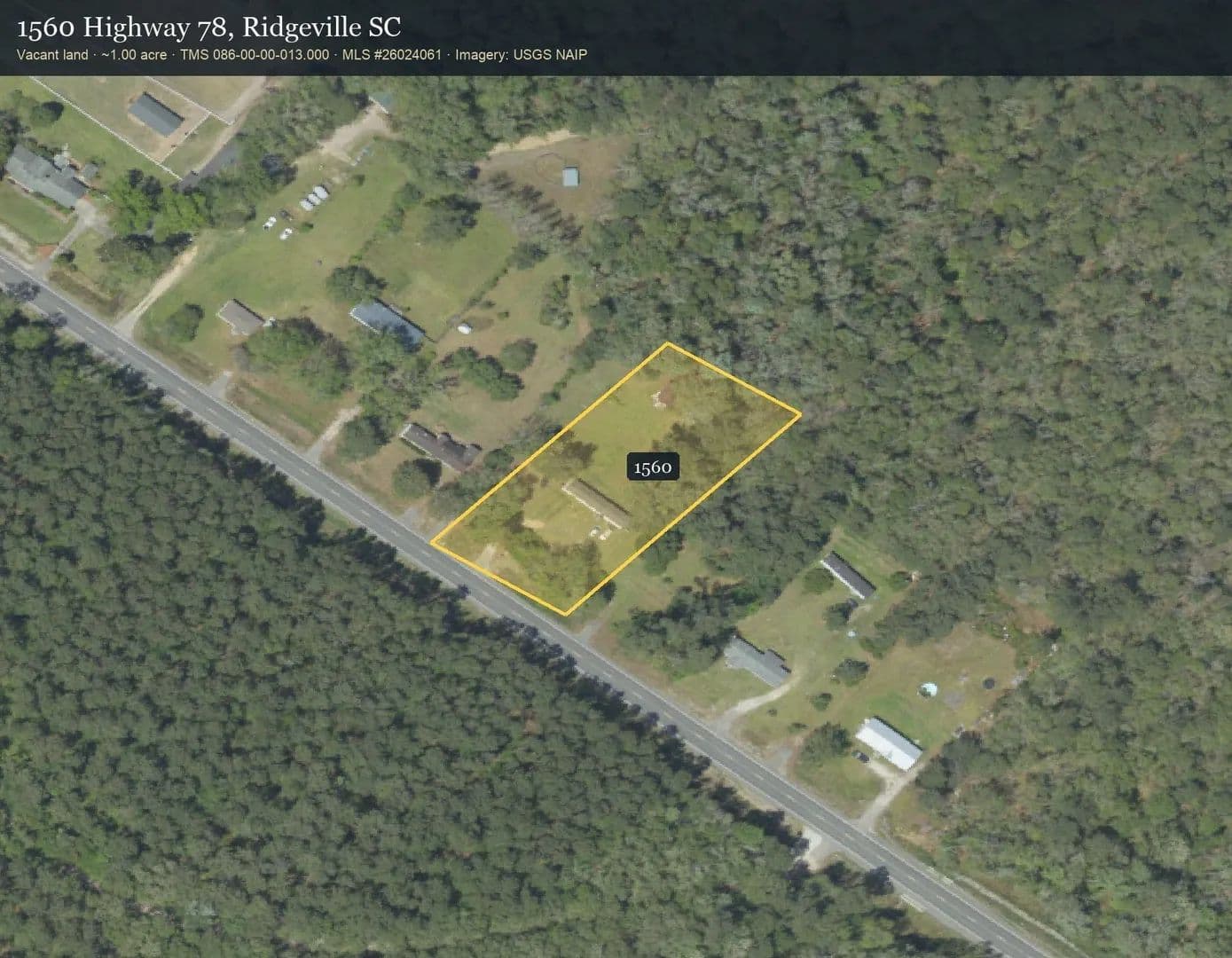 Lots & Land-Other in Ridgeville - Ridgeville, South Carolina, 29472