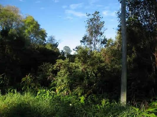Vacant Land in Volcano - Volcano, Hawaii, 96785