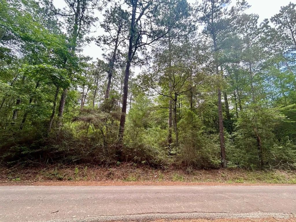 0.76 Acres of Land for Sale in Zavalla, Texas - land for sale