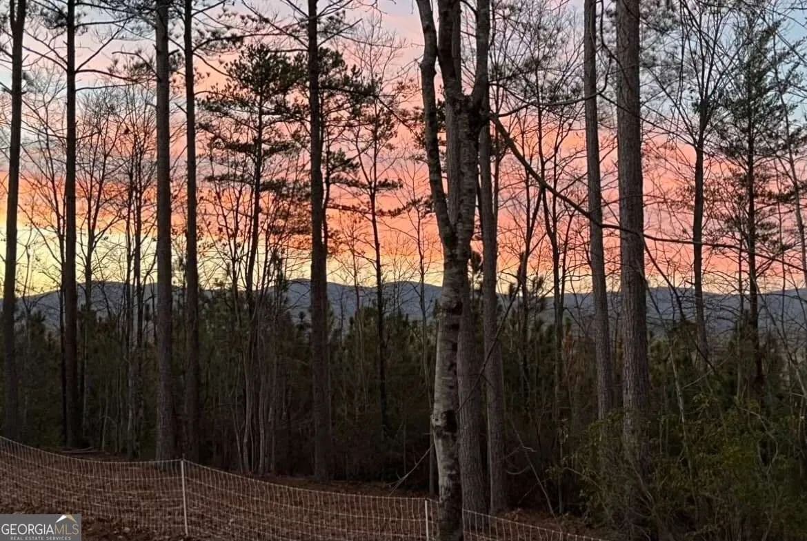 40 Acres of Land for Sale in Dahlonega, GA - Dahlonega, Georgia, 30533