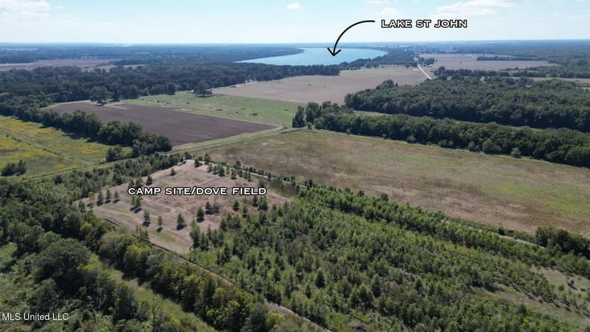 Tensas Parish Land Near Lake St. John - 80 Acres