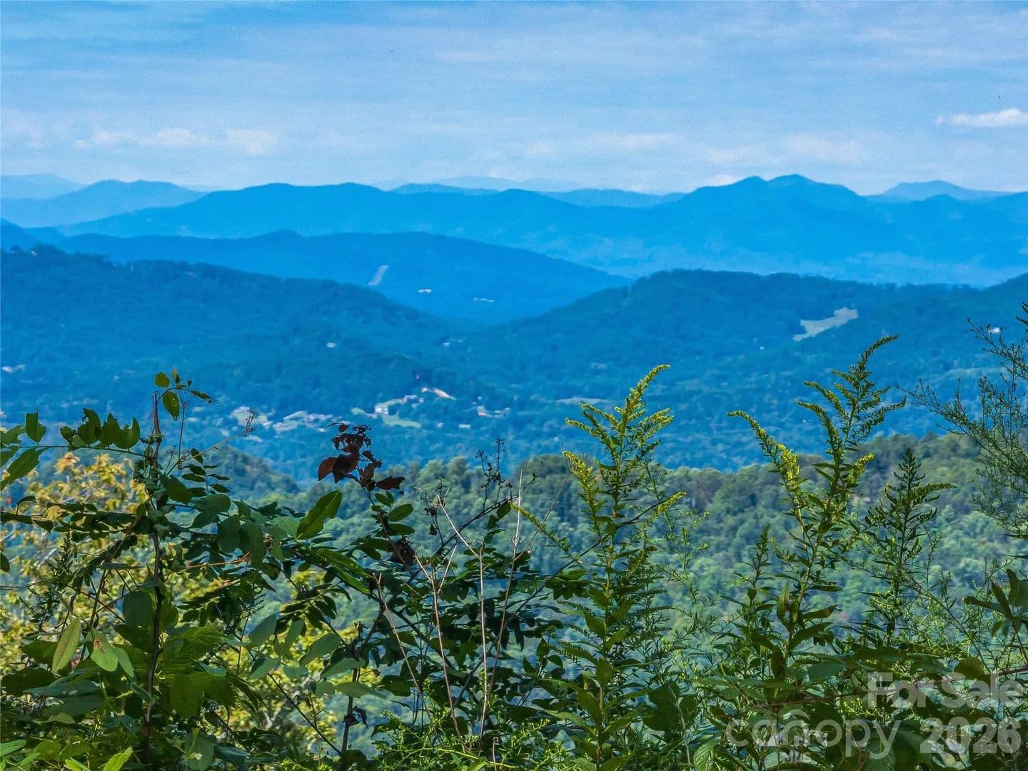 85.03 Acres of Land for Sale in Hendersonville, NC - Hendersonville, North Carolina, 28792