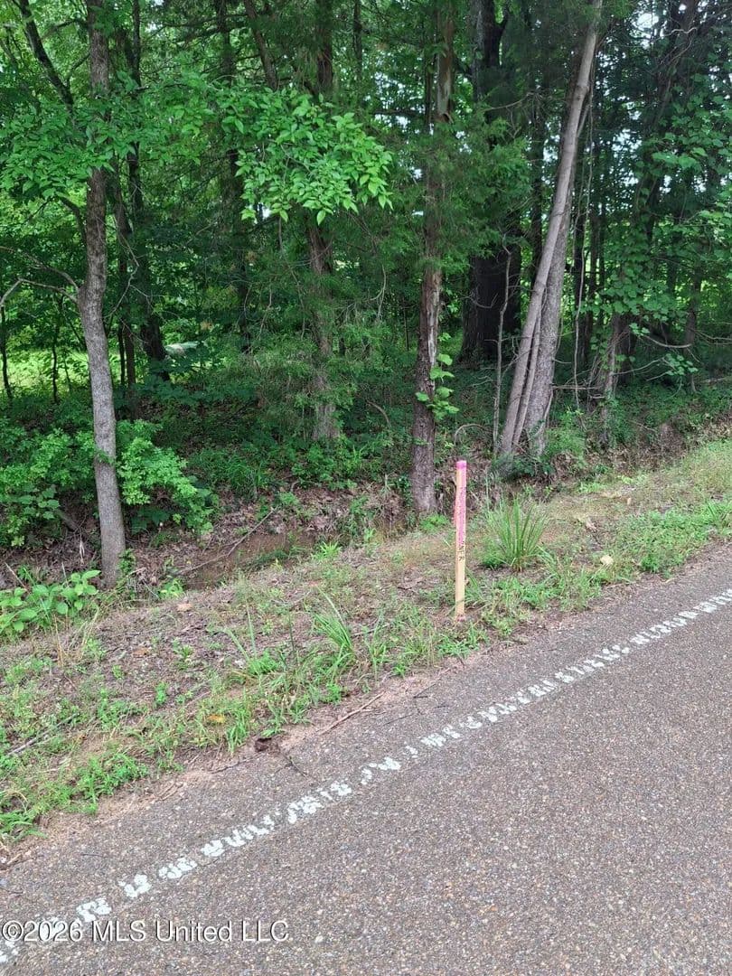 Property from 0 Denman Road - KW - Byhalia, Mississippi, 38611