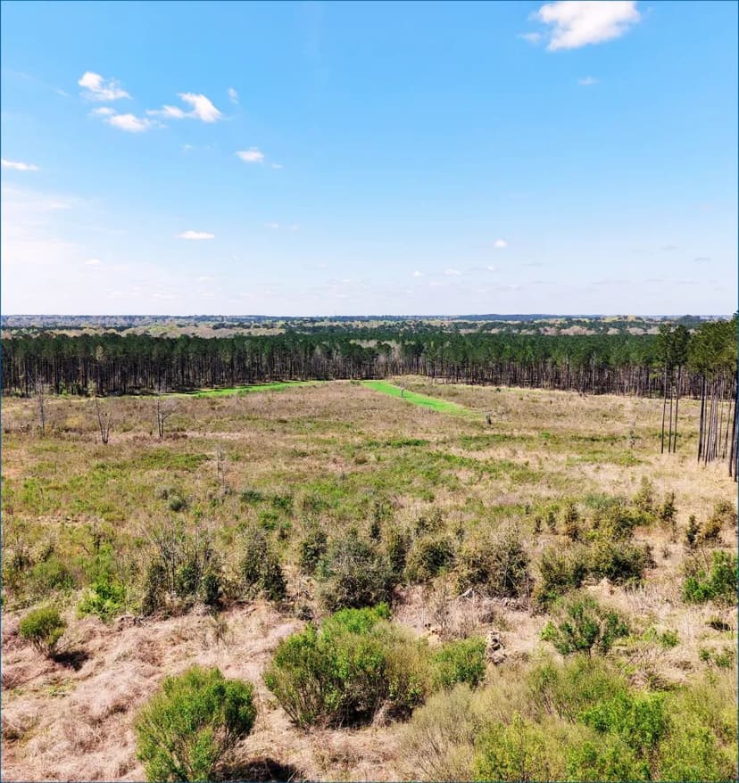 284.9 Acres in Franklin County in Meadville, MS