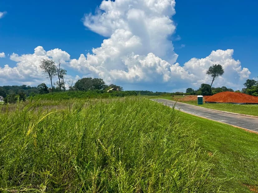 Vacant Land in Jasper