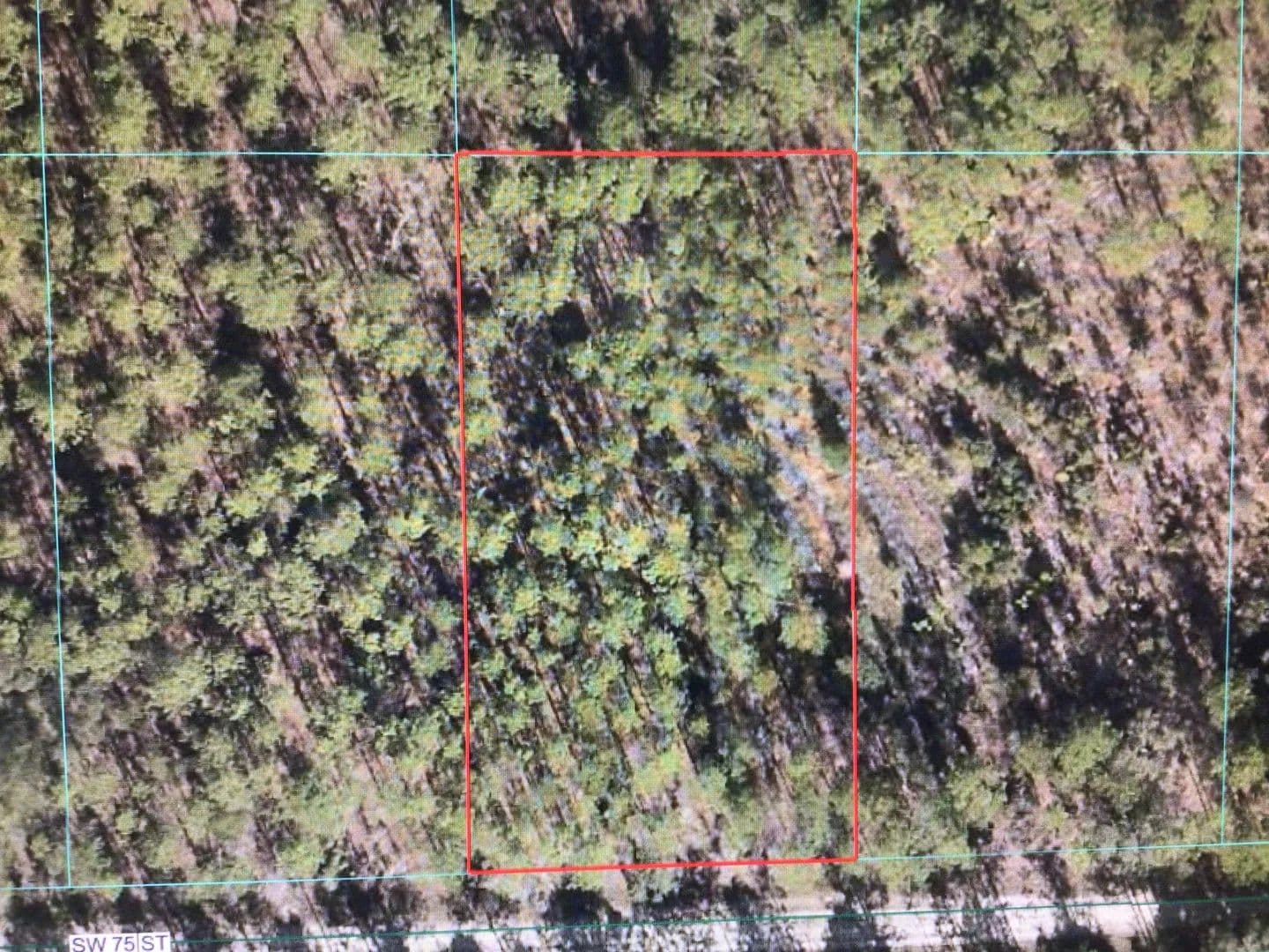 Lots & Land-Other in DUNNELLON - Dunnellon, Florida, 34432