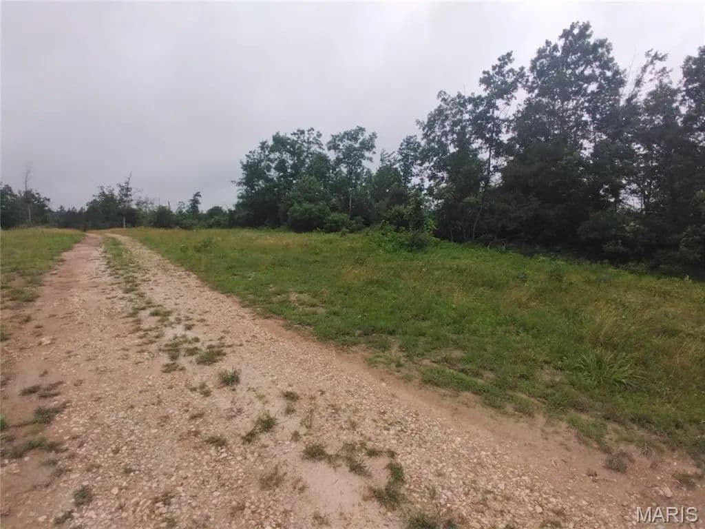 17.21 Acres of Land for Sale in Belleview, MO - Belleview, Missouri, 63623