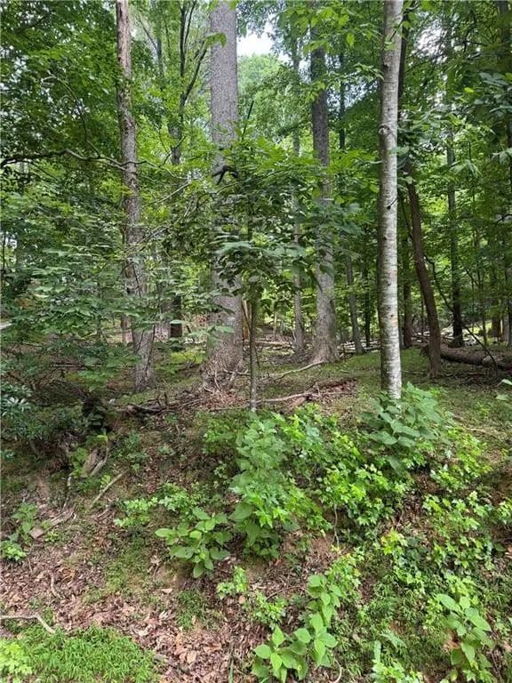 Lots & Land-Other in Jasper - Jasper, Georgia, 30143