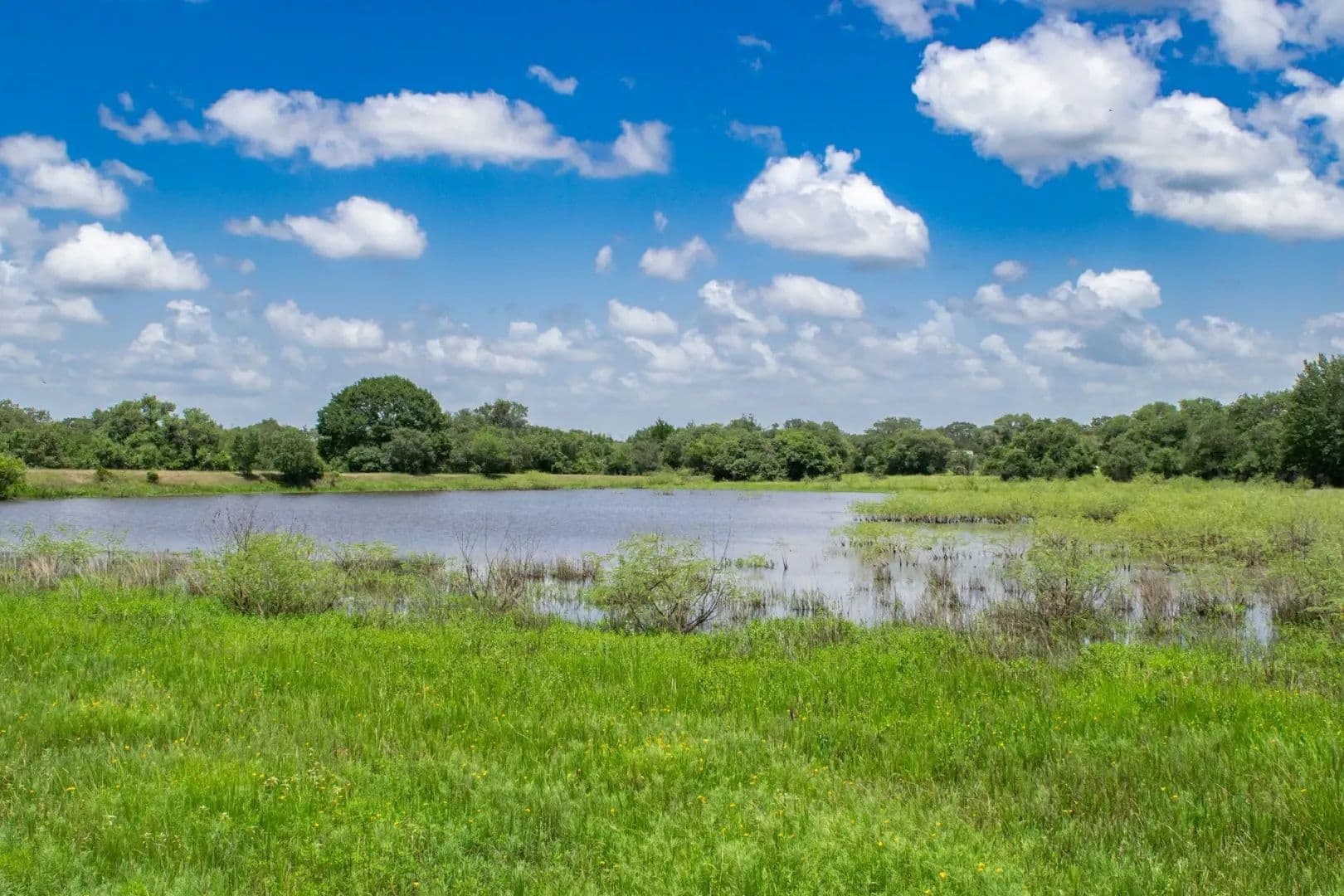 471 Acres of Land for Sale in Yoakum, TX - Yoakum, Texas, 77995
