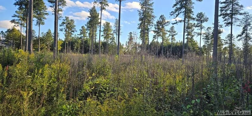 Vacant Land in Lawrenceville