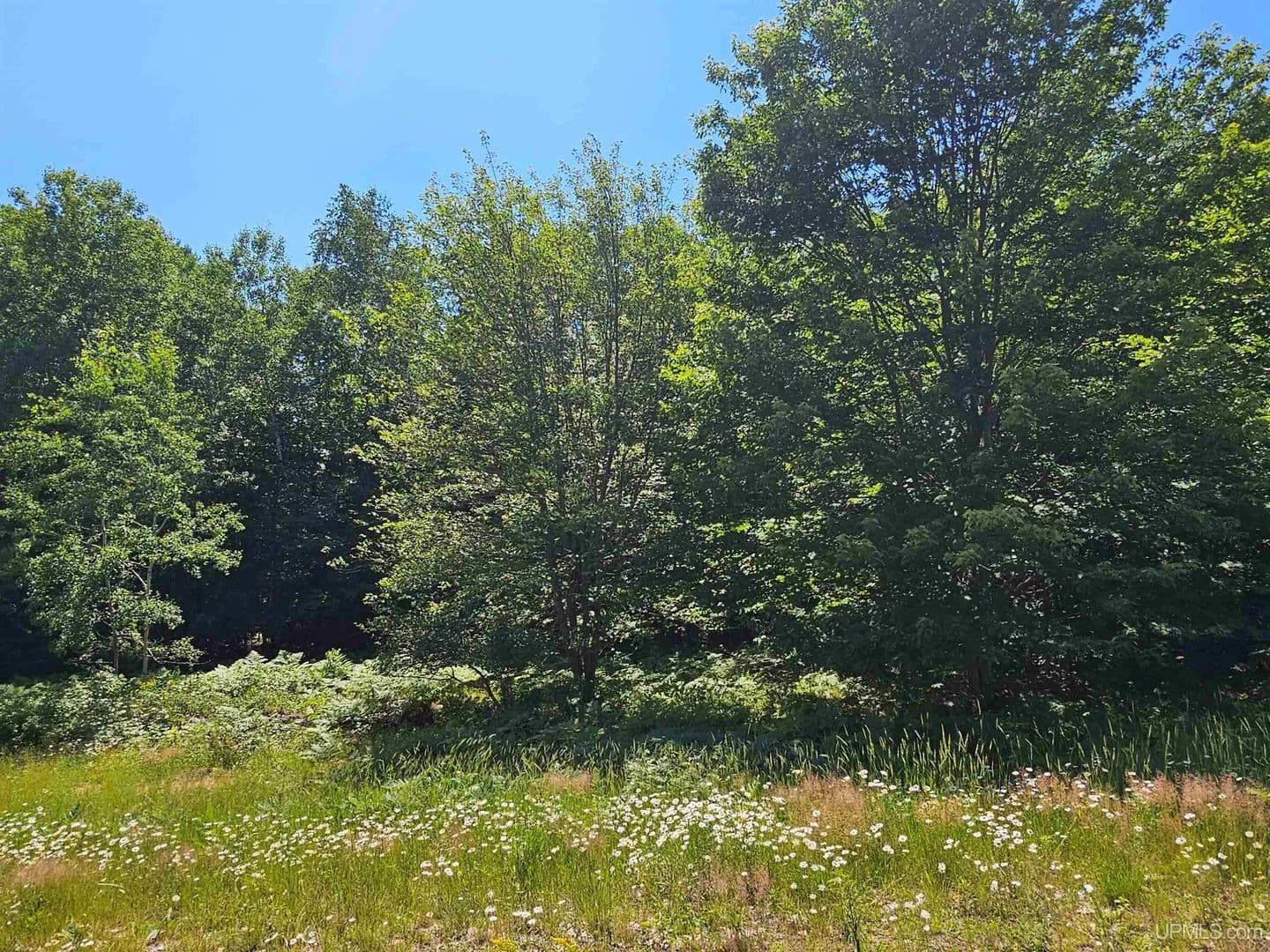 Vacant Land in Houghton - Houghton, Michigan, 49931