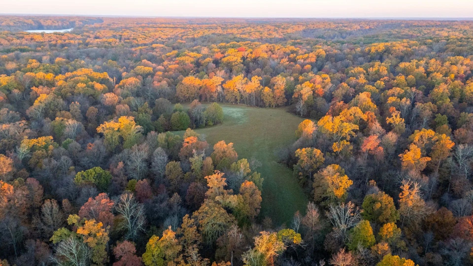 Endless Acres Wildlife Farms South - Marianna, Arkansas, 72360