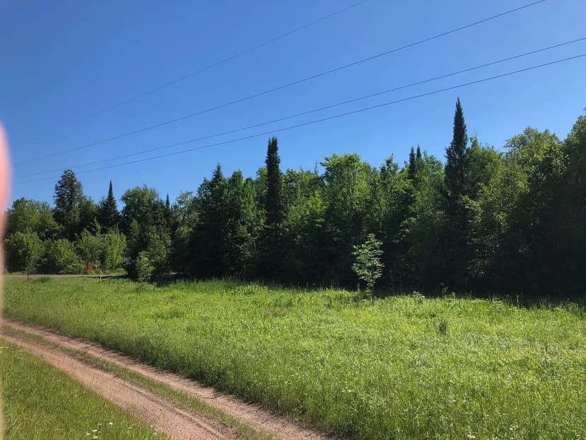 Land -Agricultural (Not Zoned) in White Pine