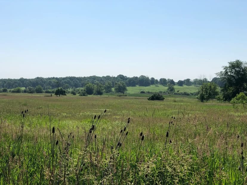 Vacant Land in Barrington Hills