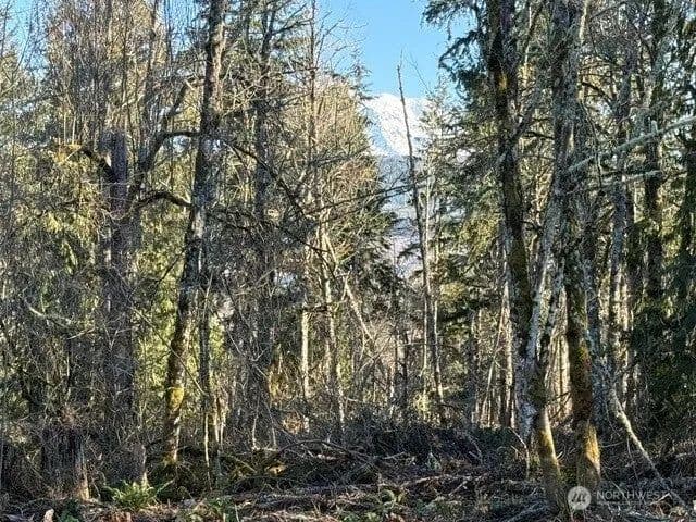 Lots & Land-Other in Graham