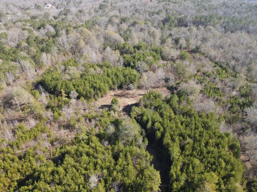 REDUCED! 20 +/- Acres in Talladega County