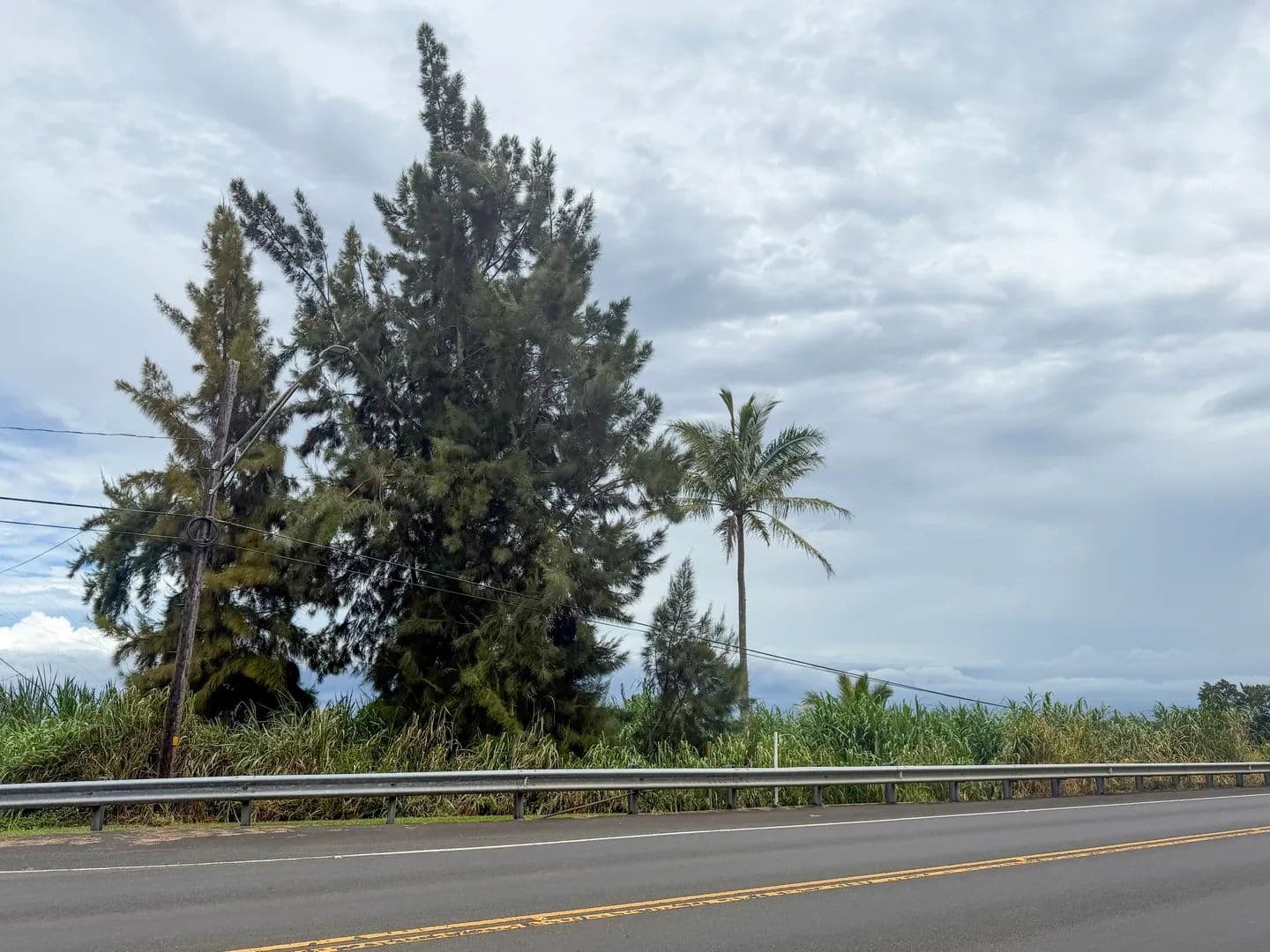 Vacant Land in Honokaa - Honokaa, Hawaii, 96727