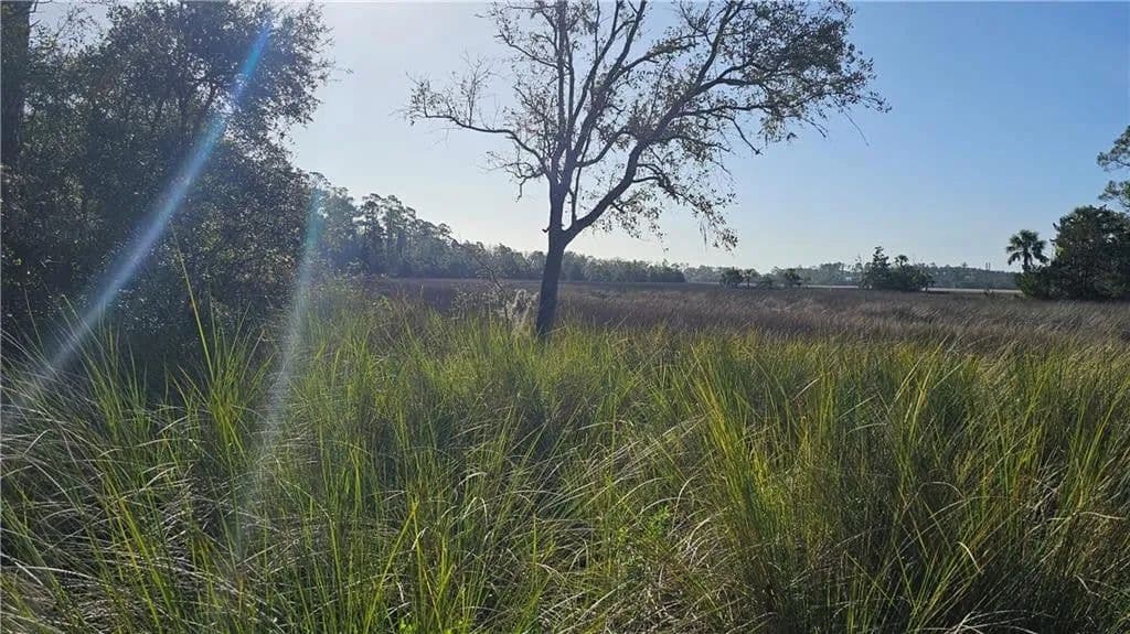 Lots & Land-Other in Brunswick - Brunswick, Georgia, 31523