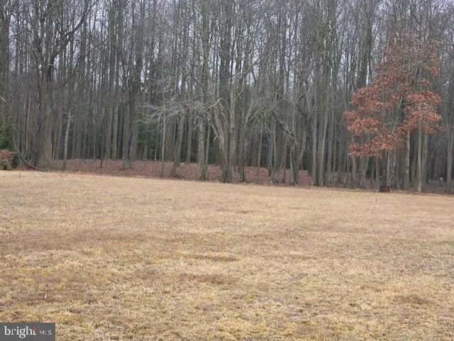 Vacant Land in Bishopville