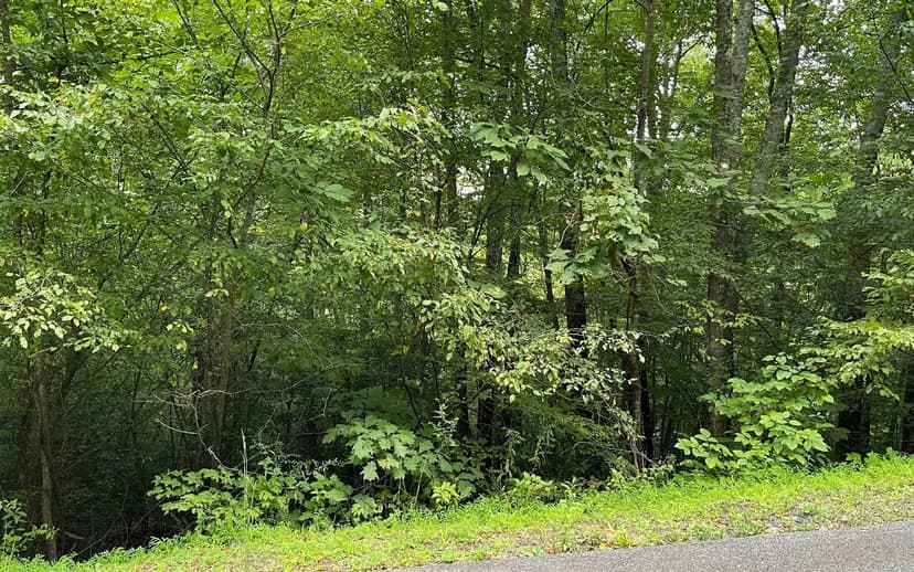 Lots & Land-Other in Hiawassee